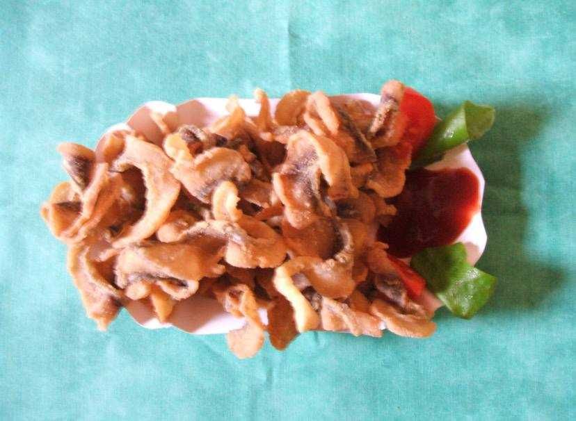 Аппарат для дробления рыбных костей.