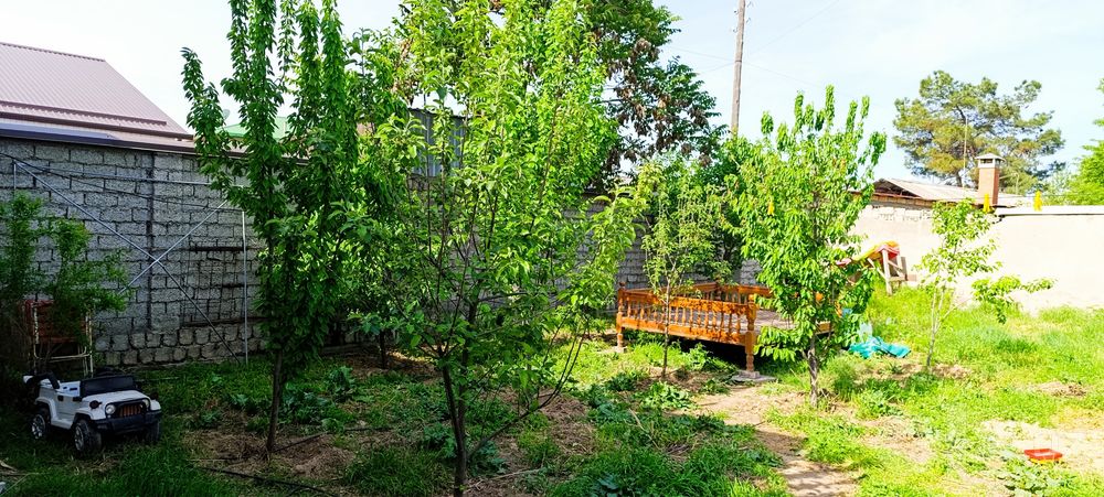 Дом и земля в ташкенте рядом с мечетью