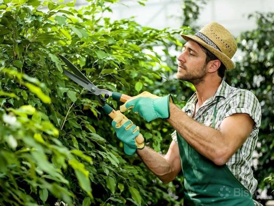 Уход за садом без лишних проблем