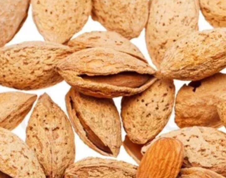 Бодом кўчатларисотувда