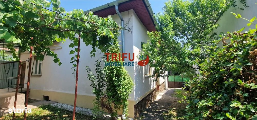 Casă individuală cu curte verde, pe cea mai frumoasă stradă din Centru