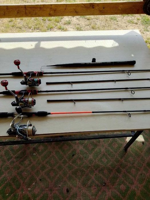 Baliqchlia wottamisila