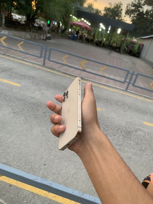 Iphone 12 pro sotlad