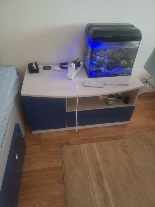 Dormitor băiat_ Casa Rusu