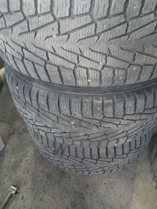Шины зимний нокиан
