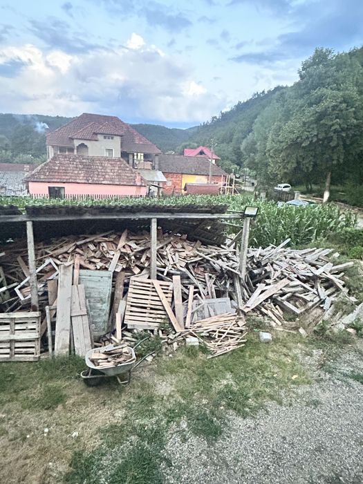 Vad lemne din casa demolata