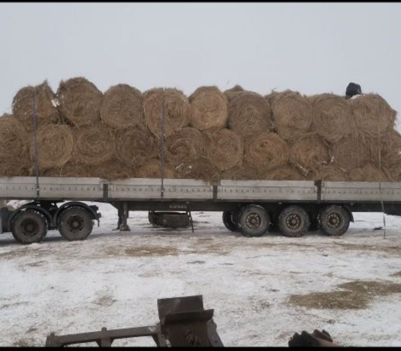 Продам луговое сено в рулонах
