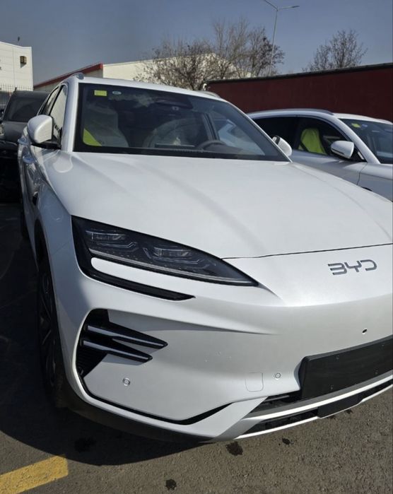 BYD Champion 2026 Smart