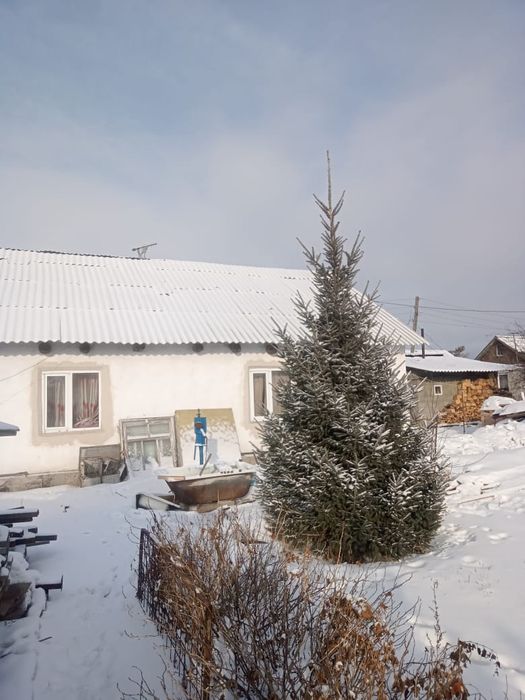 Бобровка, 3 дача дом 991