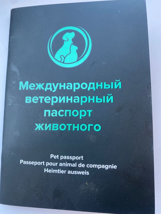 Продажа щенков алабая
