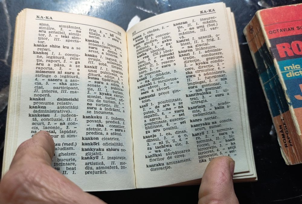 Dictionare 2 bucăți de buzunar