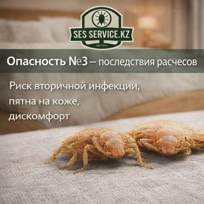 Скидка | Уничтожим клопов и тараканов | Дезинсекция