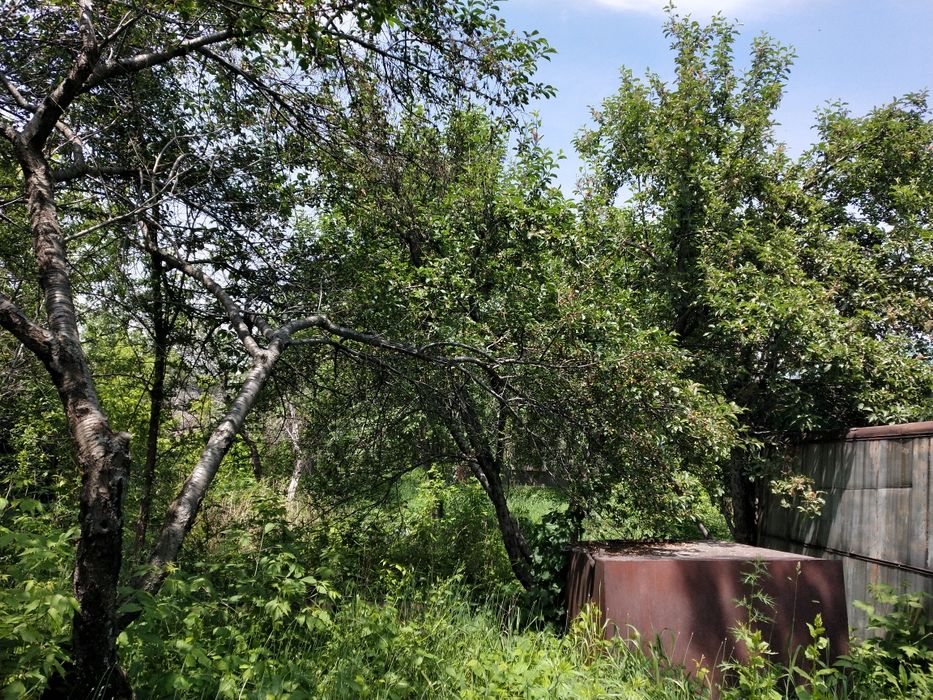Продам дачу (6 соток)! Долан