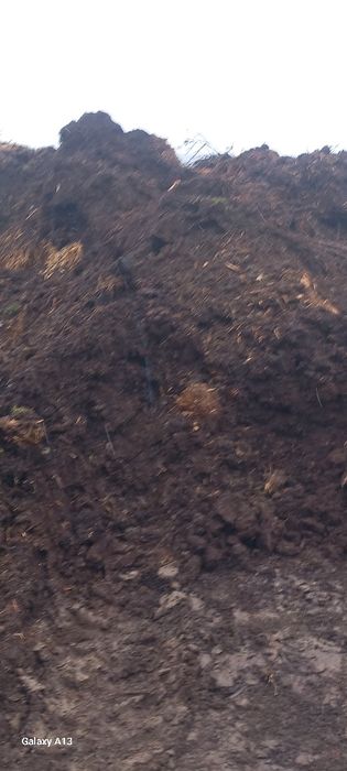 gunoi de VACI putred și proaspăt