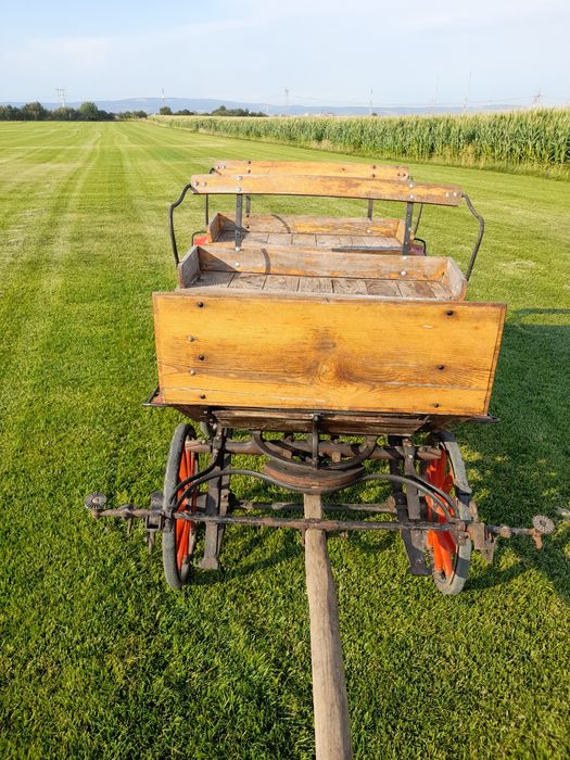 Trasura                                       Sau schimb.            .