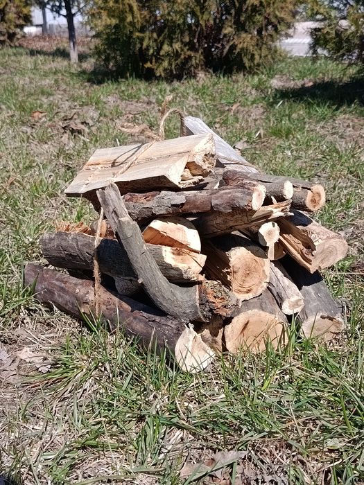 Дрова мешками, связками