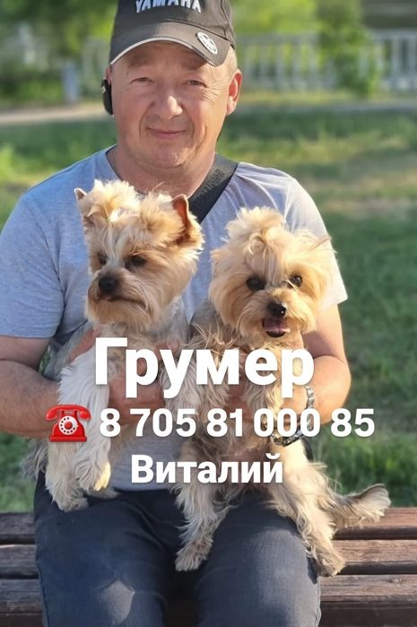 Грумер.  Стрижка животных.