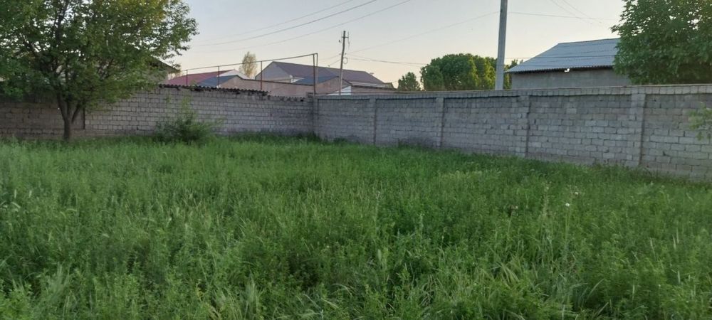 тезда сотамиз участкамиззи