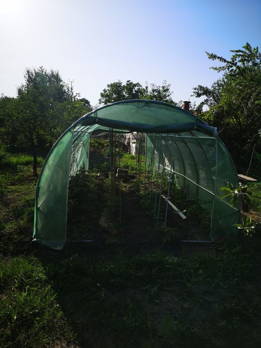 Оранжерия Tunnel Pro 6x3m