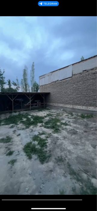 Uchastka yer Toshkent atp parsez