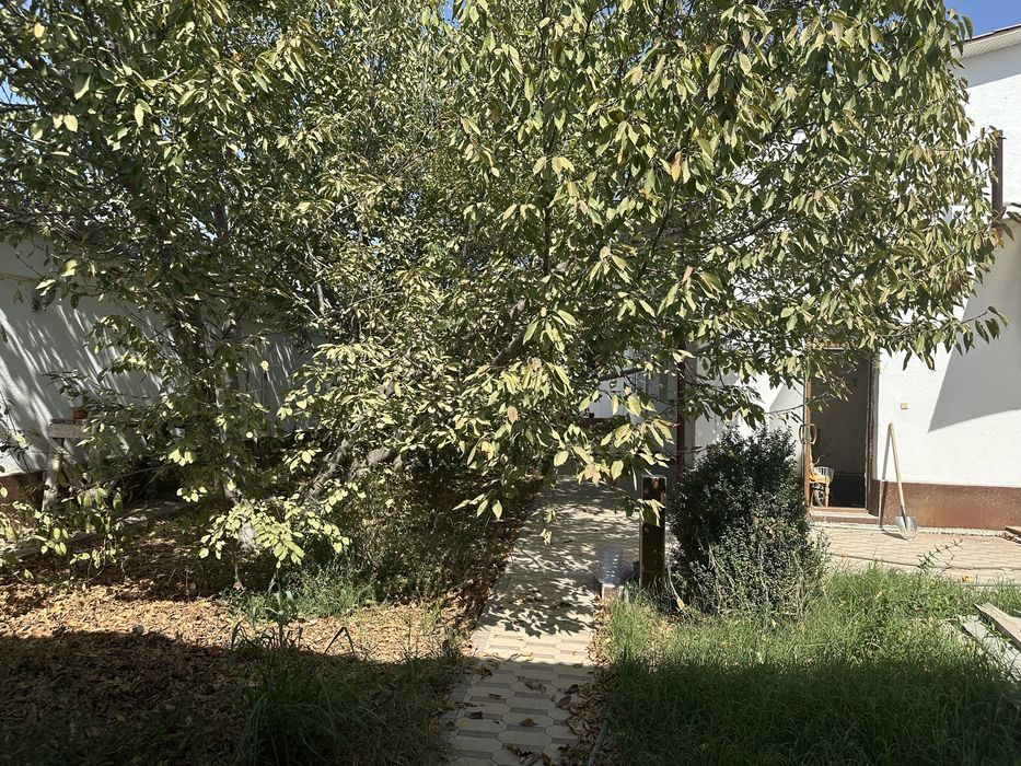 Продается участок 600м2 Зангиата