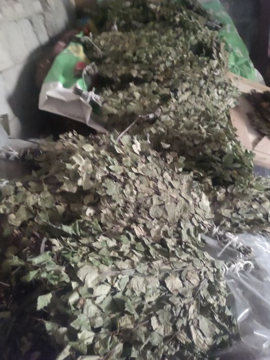 Веники березовые