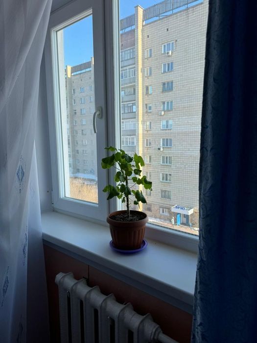 сдам квартиру 3х комнатная