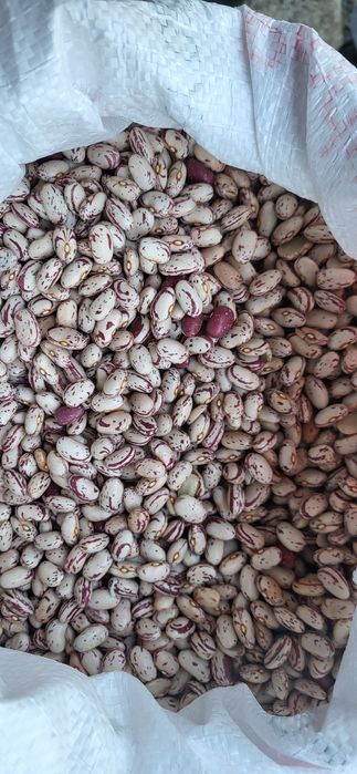 Cartof alb si rosu cu miezul galben