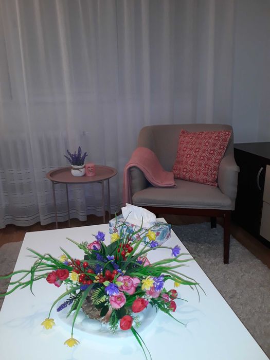 Apt 2 camere Podu Ros