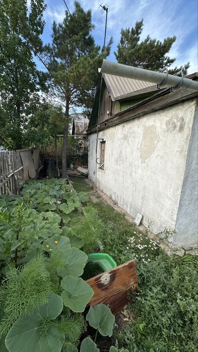 Продается дача, Черемушки, 8 соток!