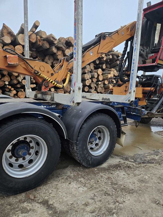 Ansamblu forestier Scania