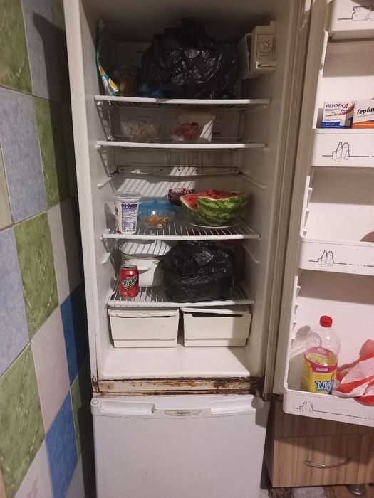 Холоделник брюса