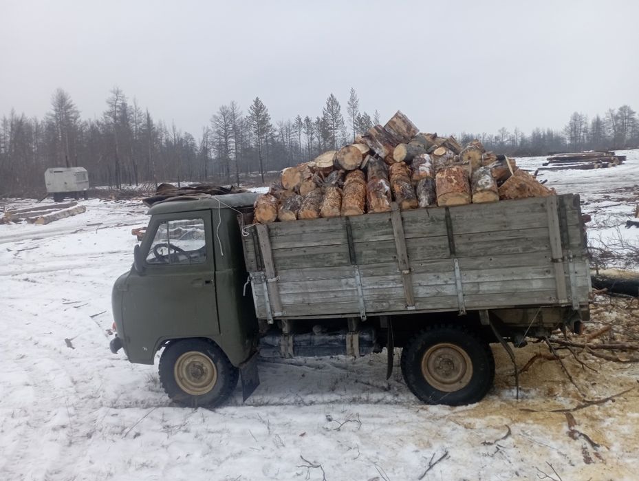 Дрова сухие продам