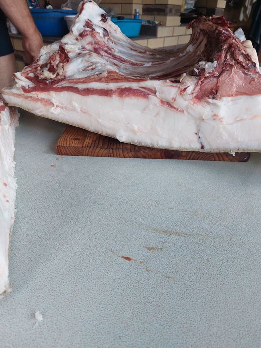 Свинина домашняя,