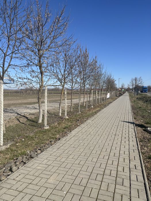 Teren de inchiriat loc. Gornesti jud.Mures