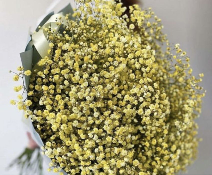 Букет из желтой гипсофилы