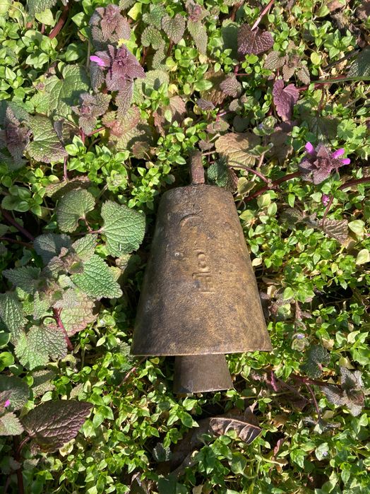 Чан.Стар Чан.                .