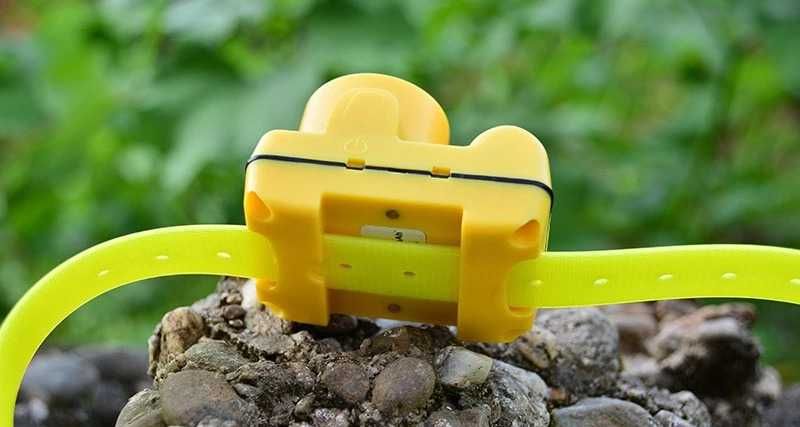 Beeper dog нашийник за ловно куче презареждаща батерия водоустойчив