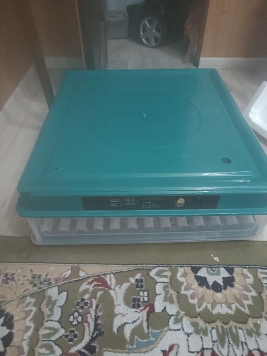 Инкубатор для яиц