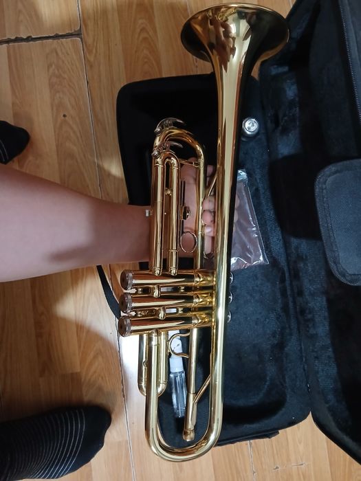 Vînd tropetă nouă am cupărato ce va timp în urmă schimb pe clarinet