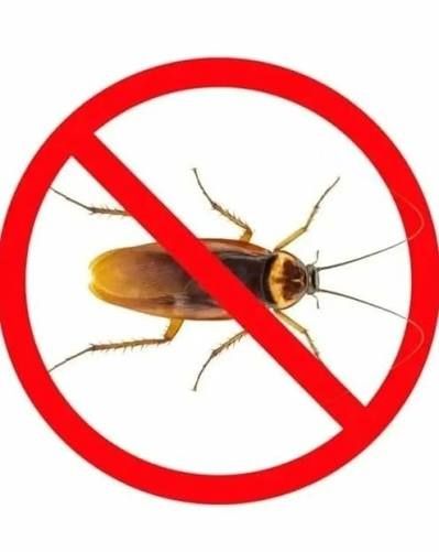 От всех видов насекомых