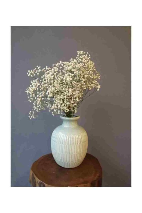 Сухоцветы для декора