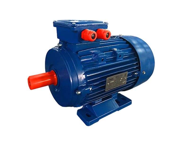 Электродвигатель Практик