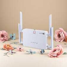 4g+ wifi router B618