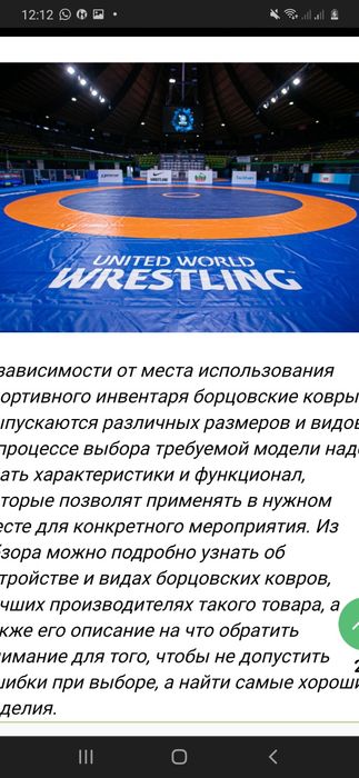 Ковер борцовский