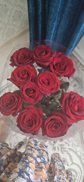 Цветы метровые розы