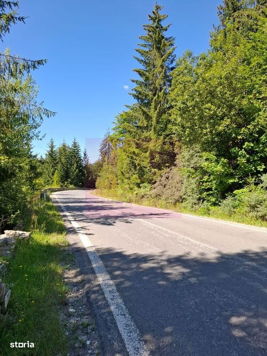Teren de vânzare în zona Cota 1000 – Sinaia