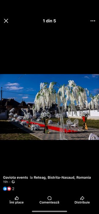 Aranjamente florale -mese echipate - cort de închiriat