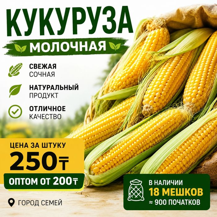 Кукуруза молочная