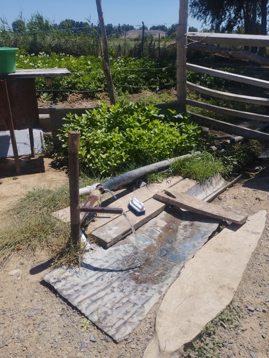 фазенда уй сатылады